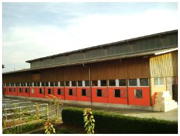 Sonnenaufgang am groen Stall